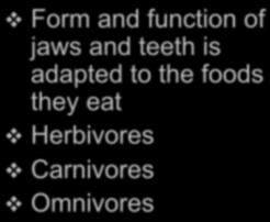 B. Feeding Jaws and Teeth of Mammals Form and