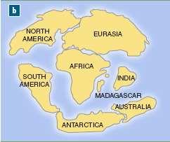 The positions of the continents at