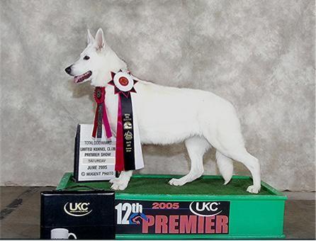 Date: August 1, 2005 Page: 11 UWSC UKC Premier Photo's Total Dog Award Owner: Jen Proud BIMB GRCH UCD FO WillowWood's Proud Jack B Nimble, CD, TDI, CGC, HC VCCX, VOV Reserve Best in Show