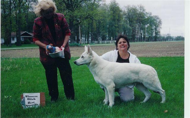 DATE: August 1, 2005 Page: 16 IN LOVING MEMORY UKC CH ROYAL KLOTZ KOUNTRY BRIDGET September 4, 1998 June 14, 2005 Bridget at AWSA show with owner Terry Klotz My Busy Bridget passed away on Tuesday