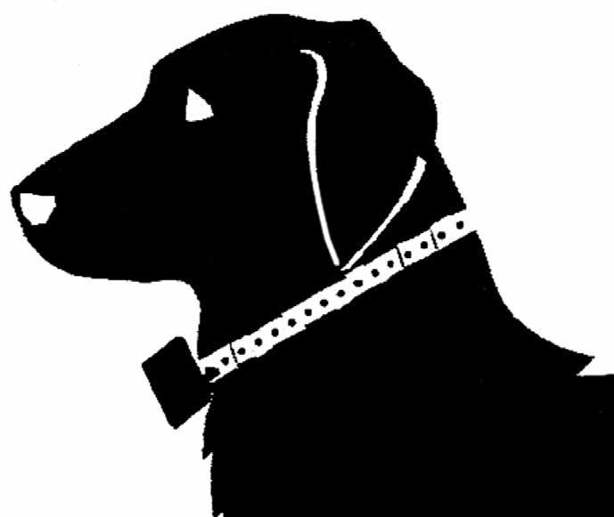 ADJUSTING THE RECEIVER COLLAR TO YOUR PET 15 The receiver must be placed on the outside of your dog s collar so that it is situated horizontally under his neck. To do this, follow the steps below: 1.