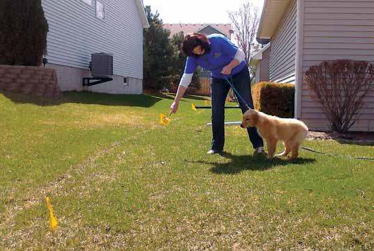 19 TRAINING GUIDELINES The following information is designed to help you and your pet get the most out of your Dog Guard Fence system.