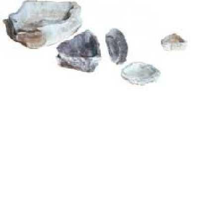 Info S490-30000 Non-Porous 4in S490-30001 Non-Porous 6in Repta-Bowl These rock-like bowls provide a natural look to