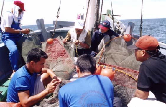 Trawling was conducted during the daytime at depths of 10-12 meters, with a towing