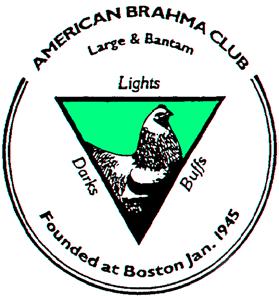 http://www.americanbrahmaclub.org SPECIAL MEET To be eligible for the above awards, you must be a member of the ABC prior to Judging. Membership Dues are as follows.