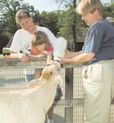 Here you can meet and learn about a duck or a chicken or some other Wisconsin animal. Turtles, porcupines, snakes, opossums, groundhogs, even cats are part of the mix.