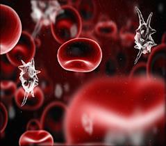 Infekcije krvi Uzročnici: MRSA Klebsiella ESBL,