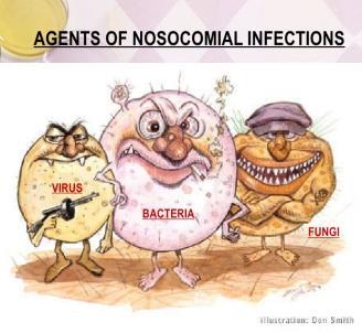 Uzročnici nozokomijalnih infekcija - Bakterije (90%) - Virusi - Gljivice - Paraziti