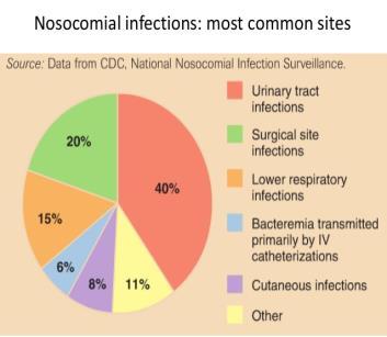 Nozokomijalne infekcije- podela From: Overview of Nosocomial Infections Caused by Gram-Negative Bacilli Clin Infect Dis. 2005;41(6):848-854. doi:10.