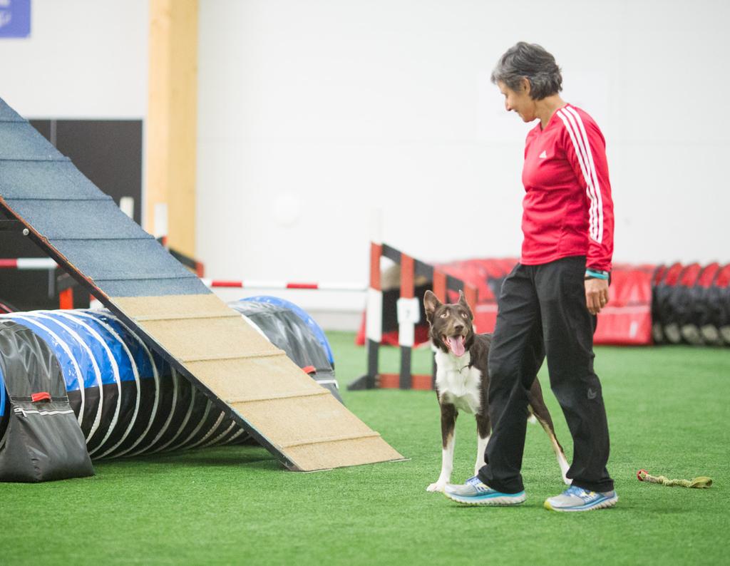 Be the best possible teammate for your dog I am so impressed by the positive training methods and consideration given to dogs in the OneMind Dogs method - it s really in line with my belief about