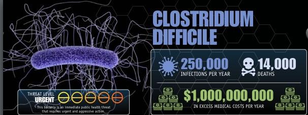 Clostridium difficile an emerging food safety risk?