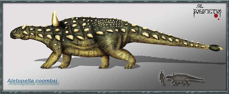 Ankylosaurians - armored herbivorous quadrupeds (Figure