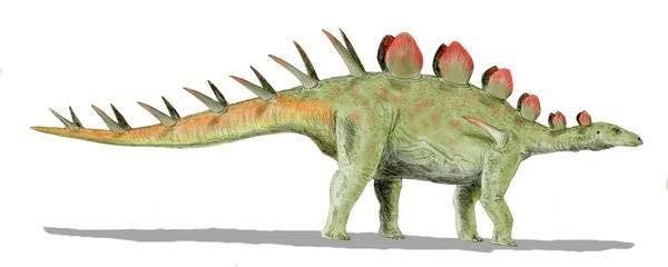 Aletopelta Stegosaurians - plated herbivorous quadrupeds
