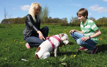 workshops Dogs Trust is offering FREE workshops for parents and children on building confidence around dogs, to ensure children and dogs can live together safely and happily at home and in the