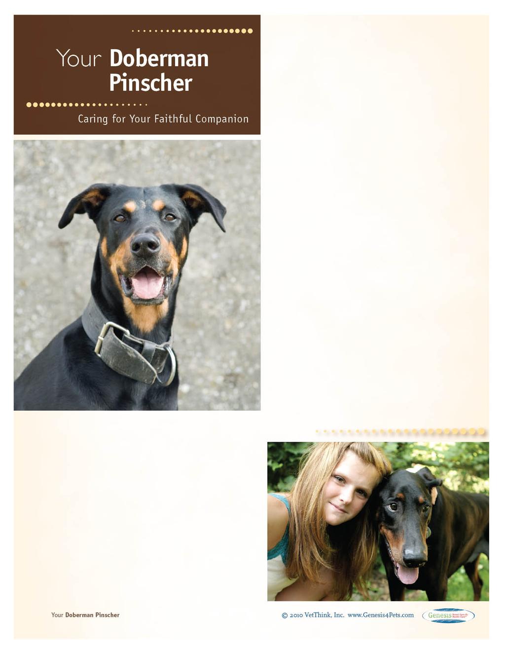 Doberan Pinschers: What a Unique Breed! Your dog is special! She s your best friend and copanion and a source of unconditional love.