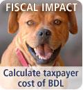 Fiscal Impact Calculator: What s the