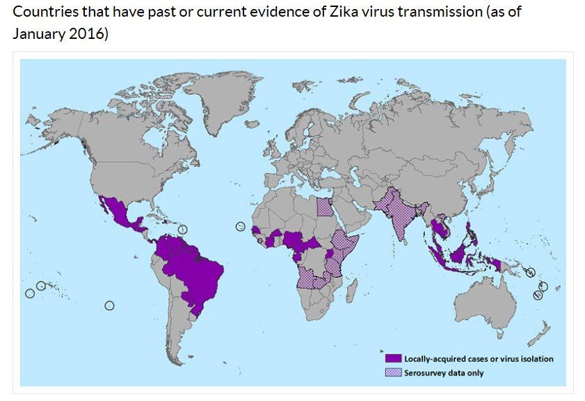 Zika Fever