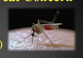 ) Anopheles vectors malaria 1,500 2,000 cases of