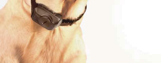 Owners simply attach the lightweight device to a dog's collar and sync the device with the downloadable app.