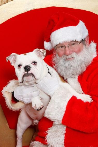 SANTA PAWS Eight Fred Meyer Stores in the Portland metro area November It s almost time to deck the halls, and what better way than with a photograph of you and your pet with jolly St. Nick?