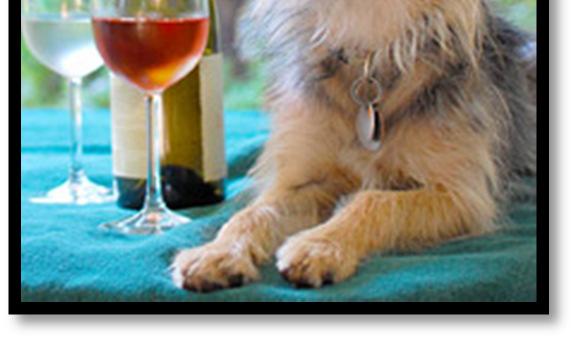 On Canines Uncorked Day, your Licenses to Taste passport includes free tastings and dog activities at each winery.