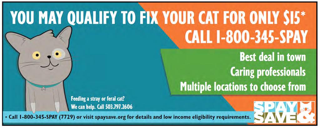 Spay & Save Goal: 10,000 cats per year above 2008 baseline Sustained over 5 years =