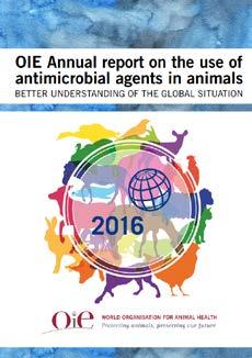 Final report First year www.oie.