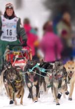 had two reasons for organizing the long-distance Iditarod Race: to and Alaskan huskies, which were being phased out of existence due to the introduction of snowmobiles in Alaska; and to preserve the