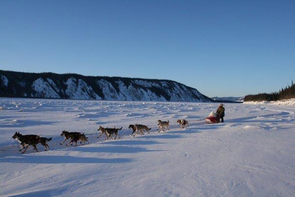 Marcelle and her team on the Yukon River between Circle and Eagle during the 2012 Yukon Quest.