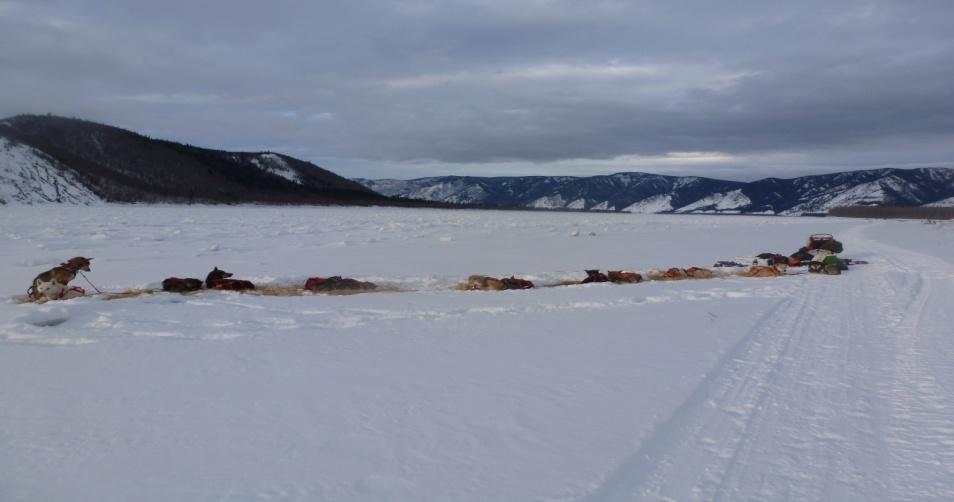 brakes in the check points or near the trail. Rest on the Yukon River during the 2012 Yukon Quest.