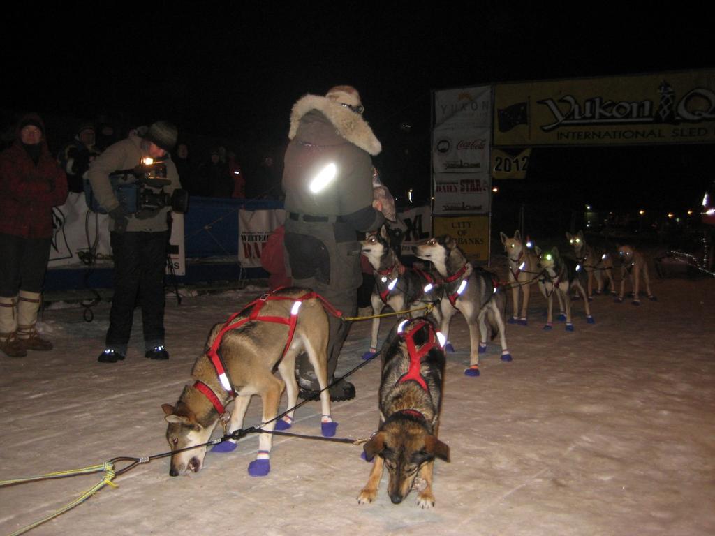 My team at the finish line of the 2012 Yukon Quest, in good shape after 15