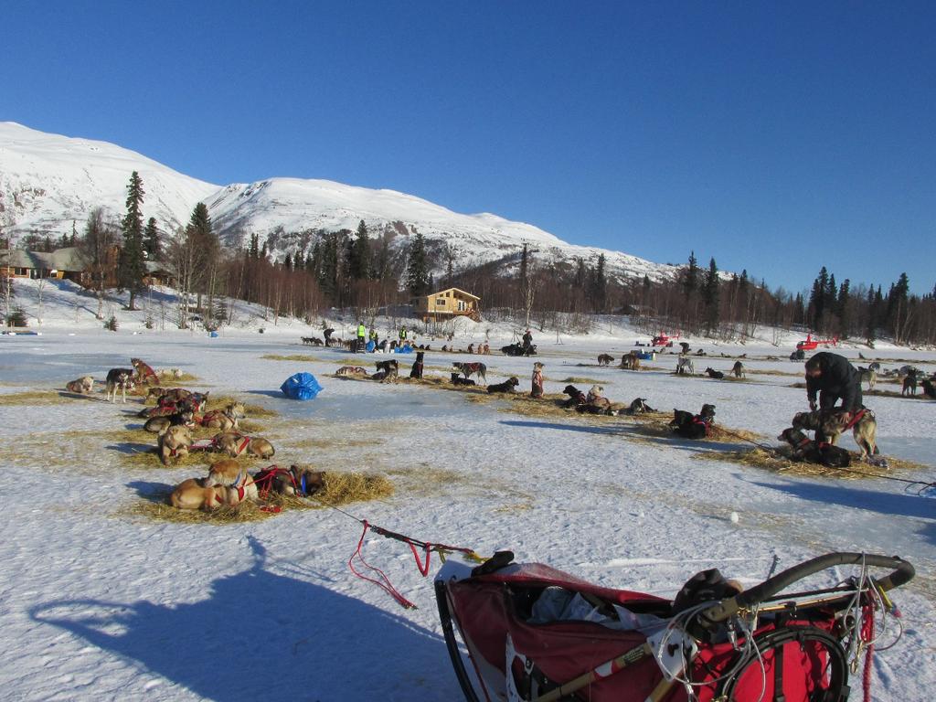 My team in a check point during the Iditarod 2014. In additon to the distance, the team will meet several challenges, as the weather or the land.