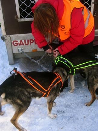 the dogs to getting injuries or slipping out of the harnesses; or (c) the sled being to big and heavy for the dogs to pull.