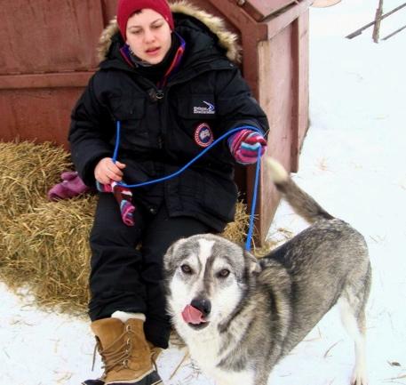 When arriving at the checkpoint the handlers make an immediate assessment of the dogs and give recommendations to the musher, based on the dogs behavior.