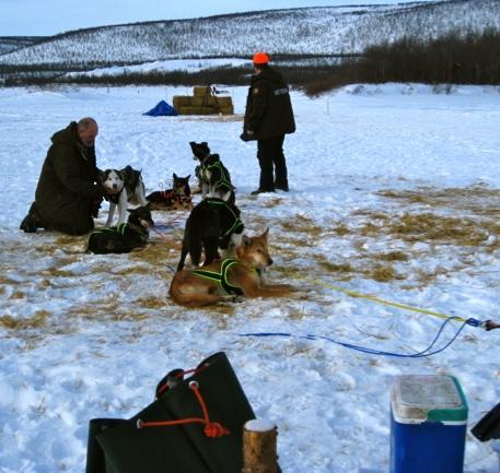 Even though the respondents had different opinions of the importance of the handlers, they all agreed that mushers had to trust their handlers: Trust is important, for