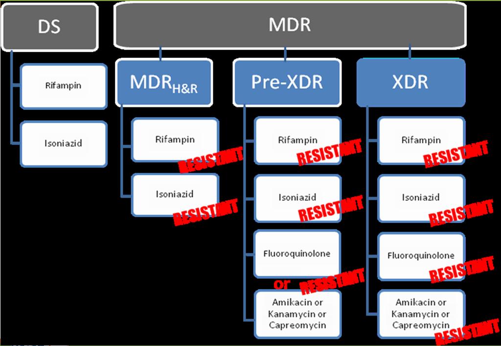 Multiple Drug Resistant TB (MDR TB) TB resistant to both INH and Rifampin Extensively Drug Resistant TB (XDR TB) MDR TB plus resistance to: Any fluoroquinolone and Second line injectable Capreomycin