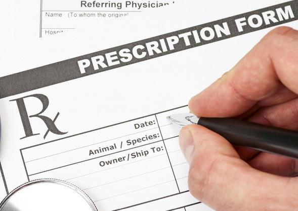Efficiency with Ordering Vets want an EASY and efficient way to order their patient Rx s