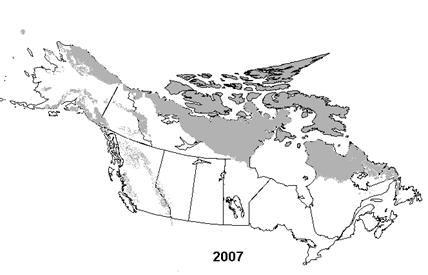 STATUS OF GEESE AND SWANS 35 Figure 7: The extent of snow and ice cover in North America on 2 June 2008 and 2 June 2007 (data from National Oceanic and Atmospheric Administration).