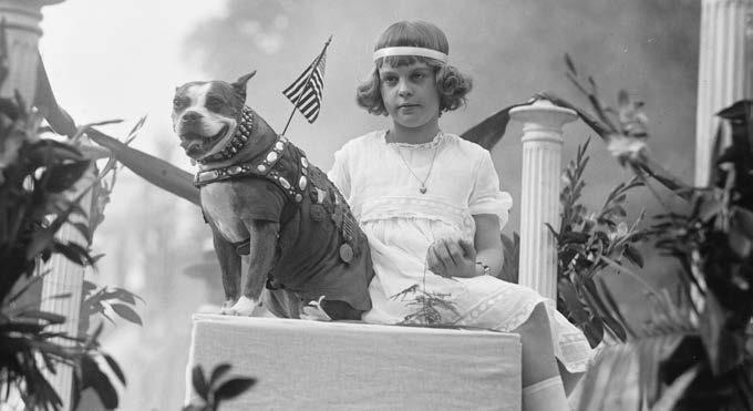 As a war hero, Stubby had a place of honor in many parades upon his return to the United States. Hero and Celebrity Conroy and Stubby arrived back in the United States in April 1919.