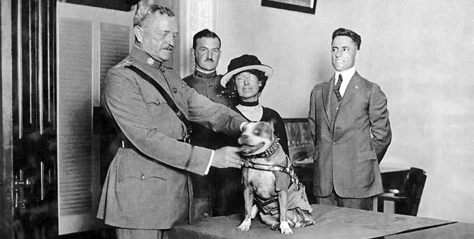 The YMCA also made Stubby a member, specifying that he was entitled to three bones a day and a place to sleep for the rest of his life.