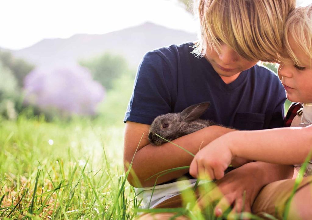 Veterinary action areas Lack of awareness These findings indicate the need to raise the profile of rabbits as complex, social animals who need more than just a hutch at the bottom of the garden.