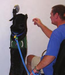 to improving the quality of life for people and dogs through training assistance dogs, pet assisted therapy dogs and owning & operating an off-leash dog park.