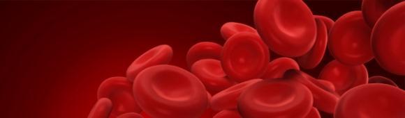 Blood-Typing Human blood types include a codominance pattern Humans can have type A, B, AB, or O blood The alleles involved are two