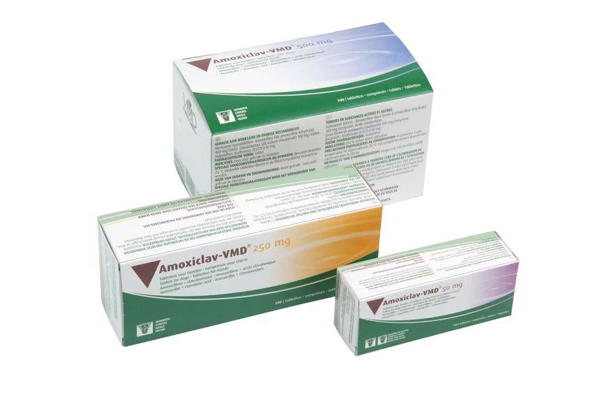AMOXICLAV-VMD Each tablet of 50 mg AMOXICLAV-VMD : 40 mg amoxicillin + 10 mg clavulanic acid Each tablet of 250 mg AMOXICLAV-VMD : 200 mg amoxicillin + 50 mg clavulanic acid Each tablet of 500 mg