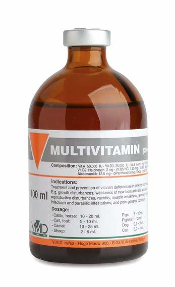 MULTIVITAMINS neonatal anemia, sight disturbances, intestinal disturbances, convalescence, anorexia, reproductive disturbances, rachitis, muscle weakness, muscular tremor, recovery from infections