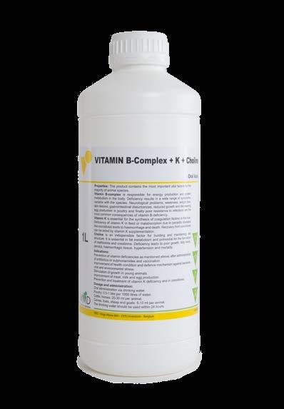 VITAMIN B + K + CHOLINE Per ml solution: 7.2 mg vitamin B1 hydrochloride 2.74 mg vitamin B2 sodium phosphate 3.6 mg vitamin B6 hydrochloride 7.2 µg vitamin B12 14.4 mg nicotinamide 7.