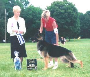 American Bred Dogs Southern New Jersey GSDC Specialty June 4, 2006 1 WD BOW 20 DePah's DeNero, DN085945/02, 08/09/04, Breeder, Paul & Denise Black-Hollister.