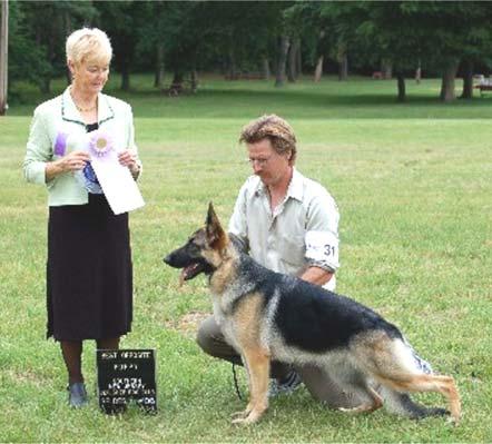 Puppy Bitches, 9 months and under 12 months 1 BOP 31 Cherry Crush of Oh-My, DN121082/01, 06/21/05, Breeder, Myra Shear. By Kenlyn's Aries von HiCliff/Ch Do Si Do of Oh-My.