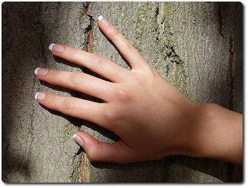 Le bois = wood Wood: Touching