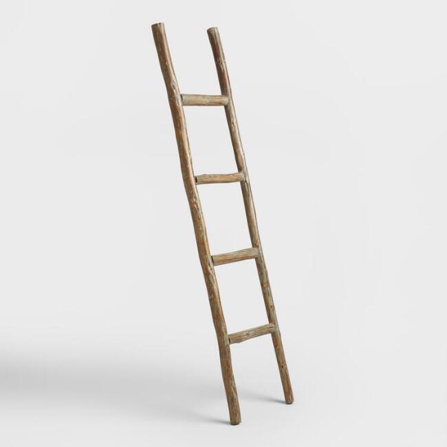 L échelle = the ladder ladder: A ladder with 13